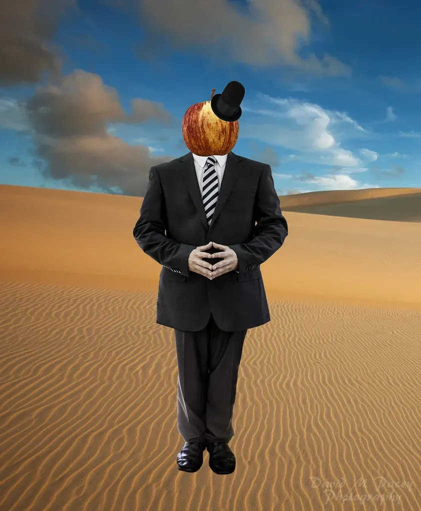 SUIT